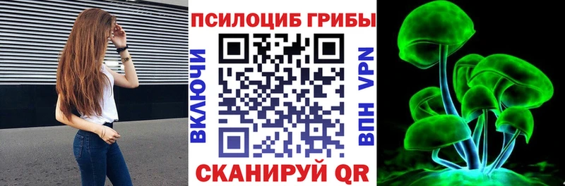 Псилоцибиновые грибы прущие грибы  Ногинск 
