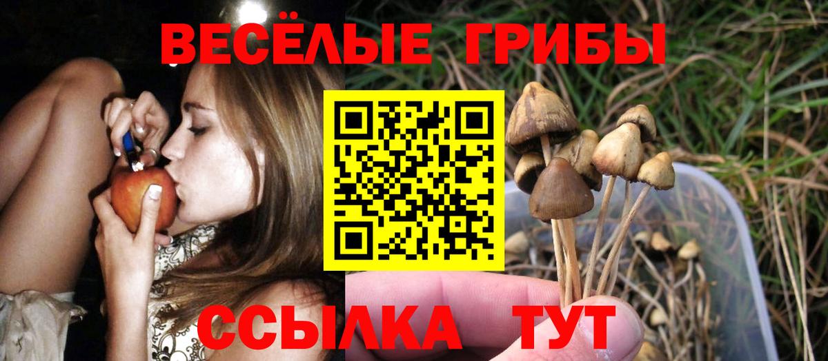 Галлюциногенные грибы мицелий Ногинск