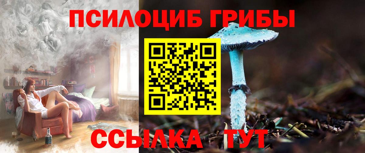 Ногинск  наркошоп  Вход с VPN  Псилоцибиновые грибы GOLDEN TEACHER 